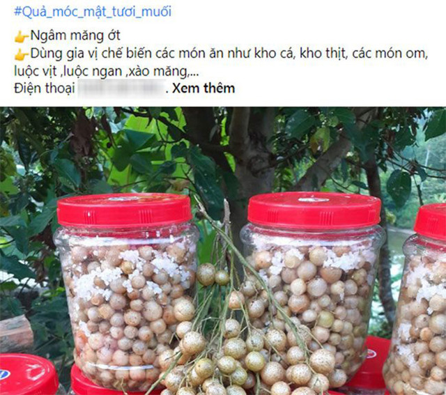 Thứ mọc bờ bụi ở Việt Nam, dân hái bán thành đặc sản - Hình 5 Thu moc bo bui o Viet Nam, dan hai ban thanh dac san-Hinh-5