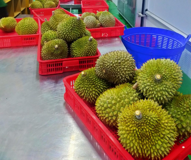 Chuyển đổi số từ bản làng, đưa hương vị Việt ra toàn cầu - Hình 2 Chuyen doi so tu ban lang, dua huong vi Viet ra toan cau-Hinh-2