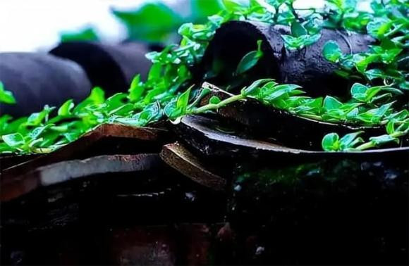 Những người không thể kiếm được tiền lớn, trừ khi thoát khỏi 3 vấn đề - Hình 3 Nhung nguoi khong the kiem duoc tien lon, tru khi thoat khoi 3 van de-Hinh-3