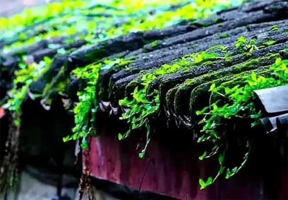 Những người không thể kiếm được tiền lớn, trừ khi thoát khỏi 3 vấn đề - Hình 2 Nhung nguoi khong the kiem duoc tien lon, tru khi thoat khoi 3 van de-Hinh-2