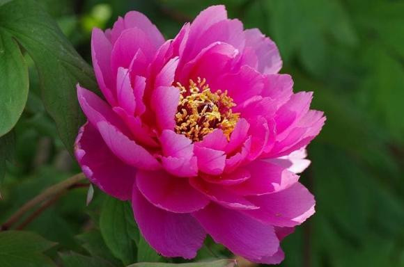 Người sinh vào 5 tháng âm này cuộc đời khá giả, tiền quấn quanh thân - Hình 2 Nguoi sinh vao 5 thang am nay cuoc doi kha gia, tien quan quanh than-Hinh-2