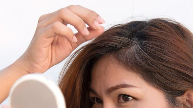Vi sao không nên nhổ tóc bạc: 5 cái hại ai cũng cần biết Vi sao khong nen nho toc bac: 5 cai hai ai cung can biet