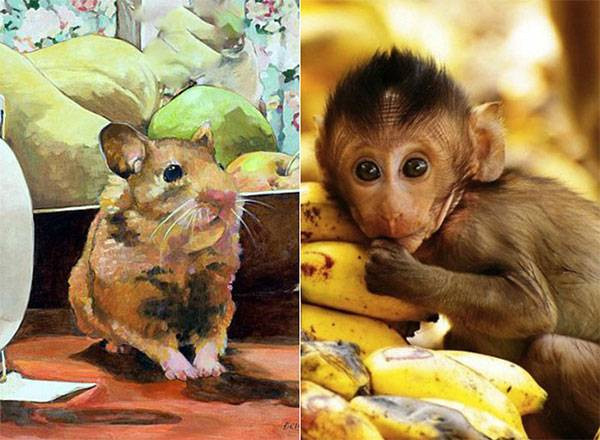 3 cặp đôi càng ở cạnh nhau lâu càng giàu có, tiền tỉ trong tay - Hình 3 3 cap doi cang o canh nhau lau cang giau co, tien ti trong tay-Hinh-3