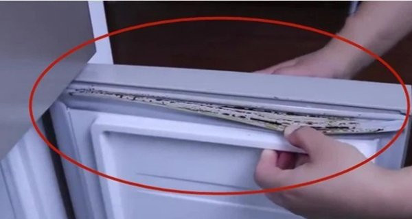 Tủ lạnh dùng lâu có vết mốc đen, dạy bạn 1 mẹo làm sạch Tu lanh dung lau co vet moc den, day ban 1 meo lam sach