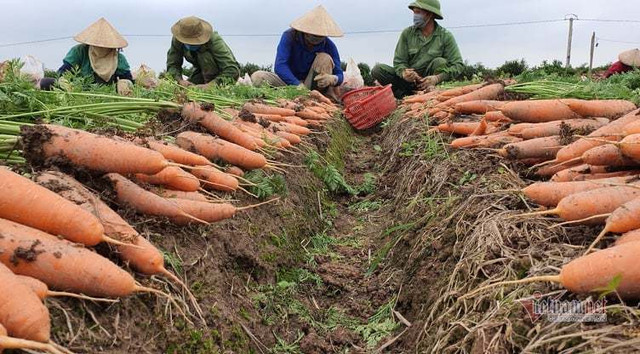 "Ăn" đất vàng công sản, nhiều quan chức vướng vòng lao lý - Hình 3 "Ăn" đất vàng công sản, nhiều quan chức vướng vòng lao lý ảnh 3