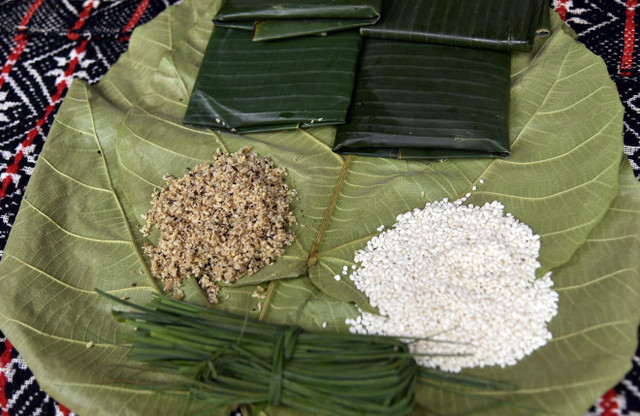 Ngọt bùi bánh nếp nhân trứng kiến của người Tày ở Tuyên Quang - Hình 2 Ngot bui banh nep nhan trung kien cua nguoi Tay o Tuyen Quang-Hinh-2