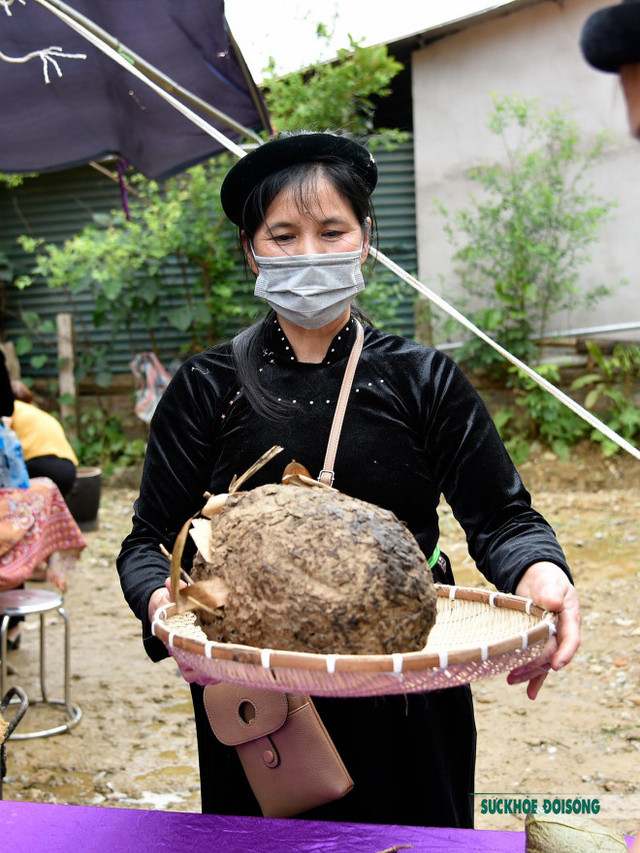 Ngọt bùi bánh nếp nhân trứng kiến của người Tày ở Tuyên Quang - Hình 4 Ngot bui banh nep nhan trung kien cua nguoi Tay o Tuyen Quang-Hinh-4