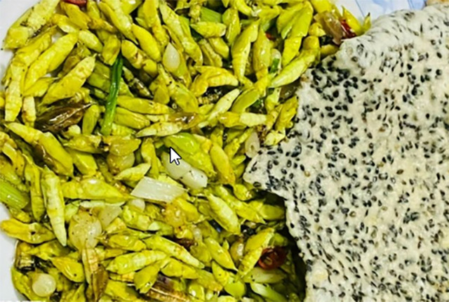 “Lộc trời” ở Tây Nguyên đến mùa bắt đem bán 200.000 đồng/kg - Hình 3 “Loc troi” o Tay Nguyen den mua bat dem ban 200.000 dong/kg-Hinh-3