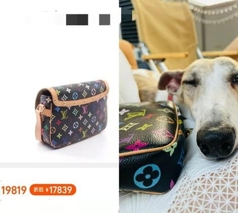 Lưu Diệc Phi khoe ảnh đi chơi cùng hội bạn gái - Hình 5 Luu Diec Phi khoe anh di choi cung hoi ban gai-Hinh-5