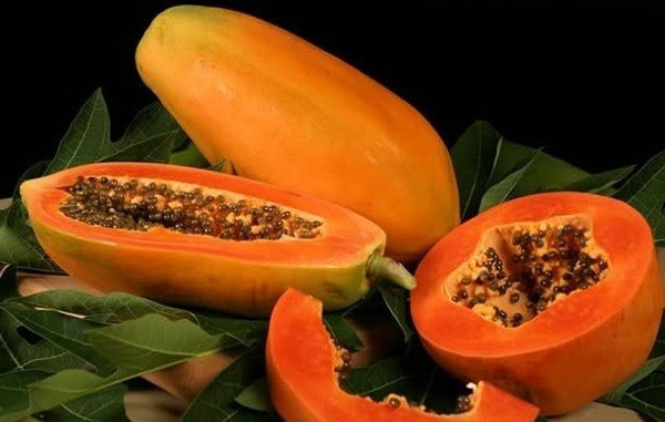 Đu đủ rất tốt nhưng những người này tránh ăn kẻo ngộ độc Du du rat tot nhung nhung nguoi nay tranh an keo ngo doc