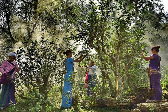 Những Di sản Thế giới mới được UNESCO công bố năm 2023 - Hình 2 Nhung Di san The gioi moi duoc UNESCO cong bo nam 2023-Hinh-2