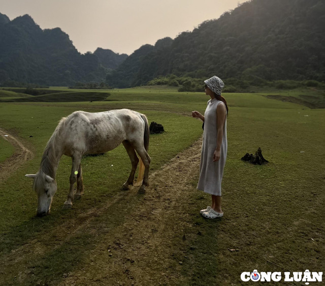 Thảo nguyên Đồng Lâm, điểm du lịch hấp dẫn ở Lạng Sơn - Hình 2 Thao nguyen Dong Lam, diem du lich hap dan o Lang Son-Hinh-2