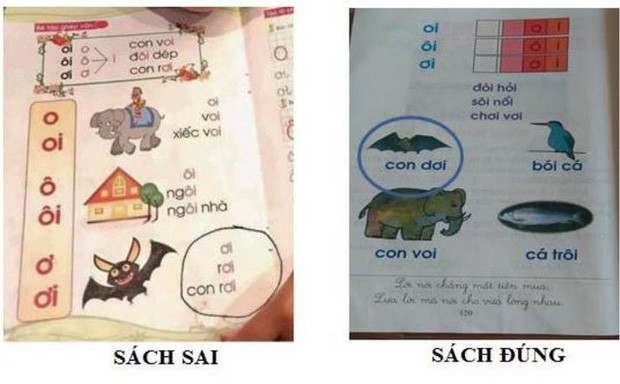Hoang mang sách Tiếng Việt dạy trẻ đọc “con dơi” thành “con rơi“ - Hình 2 Hoang mang sach Tieng Viet day tre doc “con doi” thanh “con roi“-Hinh-2