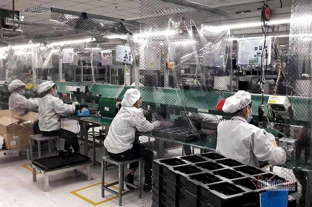 Chống dịch trước tiên phải dựa trên chuyên môn y học - Hình 5 Chong dich truoc tien phai dua tren chuyen mon y hoc-Hinh-5