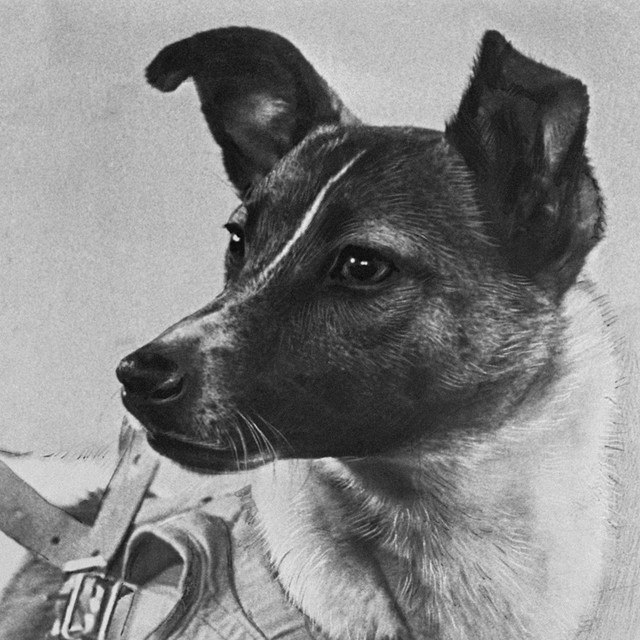 Chuyện của Laika: Phi hành gia chó đầu tiên và chuyến bay vào vũ trụ Chuyen cua Laika: Phi hanh gia cho dau tien va chuyen bay vao vu tru