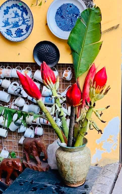 Dân Hà thành chuộng mua hoa chuối rừng về cắm chơi Tết - Hình 2 Dan Ha thanh chuong mua hoa chuoi rung ve cam choi Tet-Hinh-2