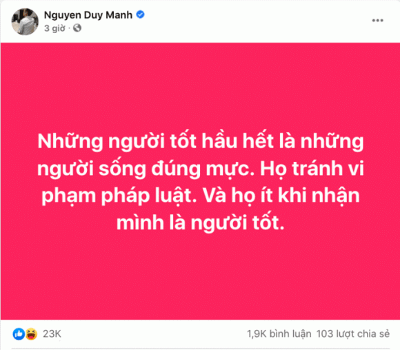 Duy Mạnh: "Nhận con nuôi đúng nghĩa là sau này phải được thừa kế" - Hình 2 Duy Manh: