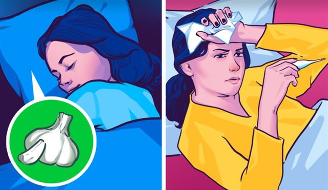 Vì sao nên đặt một nhánh tỏi dưới gối khi ngủ? - Hình 3 Vi sao nen dat mot nhanh toi duoi goi khi ngu?-Hinh-3