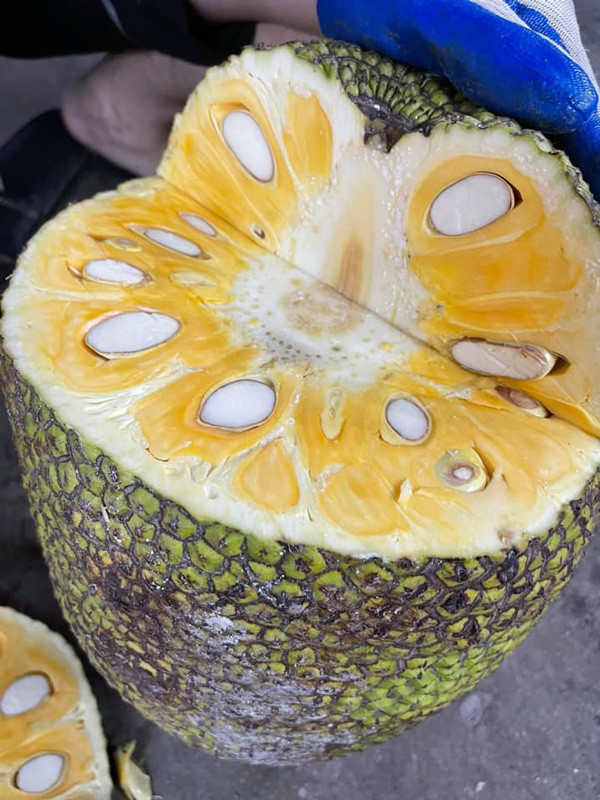 Chọn mít cũng chỉ cần nhìn điểm này biết ngay loại không hóa chất - Hình 2 Chon mit cung chi can nhin diem nay biet ngay loai khong hoa chat-Hinh-2