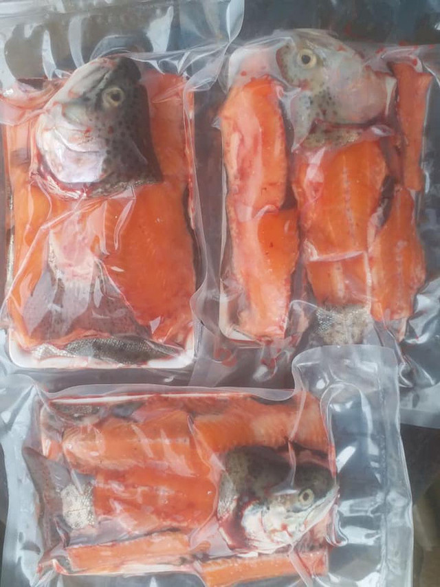 Cá hồi Sapa giảm xuyên đáy, chợ mạng giá chỉ 125 nghìn/kg - Hình 6 Ca hoi Sapa giam xuyen day, cho mang gia chi 125 nghin/kg-Hinh-6