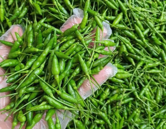 Những loại ớt độc lạ, giá đắt đỏ vẫn được lùng mua ở Việt Nam - Hình 3 Nhung loai ot doc la, gia dat do van duoc lung mua o Viet Nam-Hinh-3