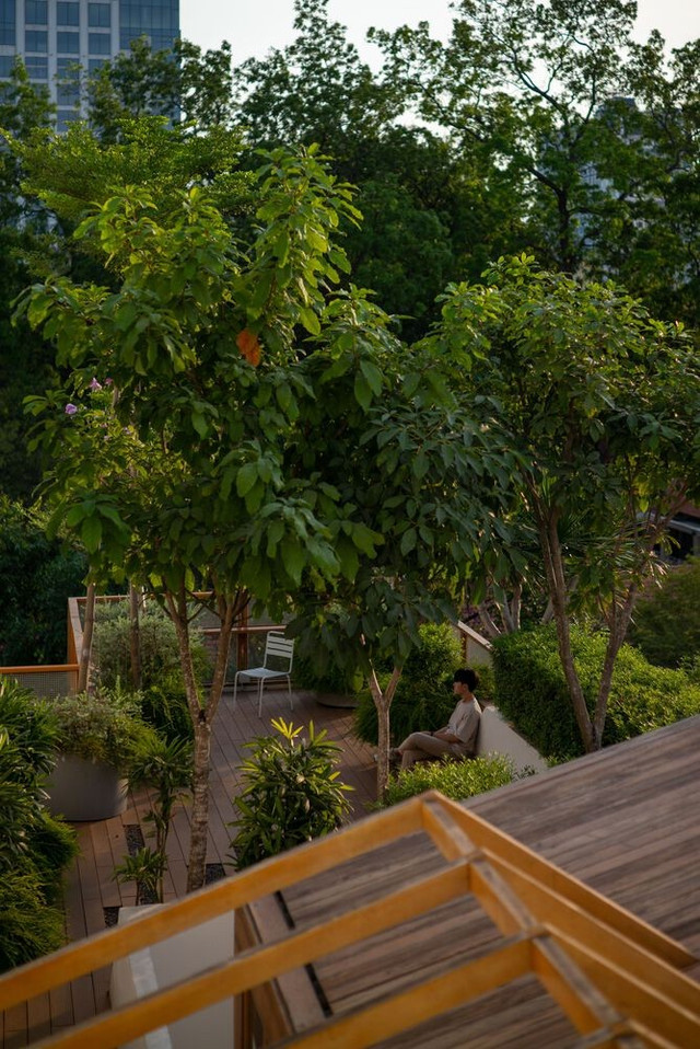 Nhà ống luôn thoáng mát nhờ làm sân vườn trên mái Nha ong luon thoang mat nho lam san vuon tren mai