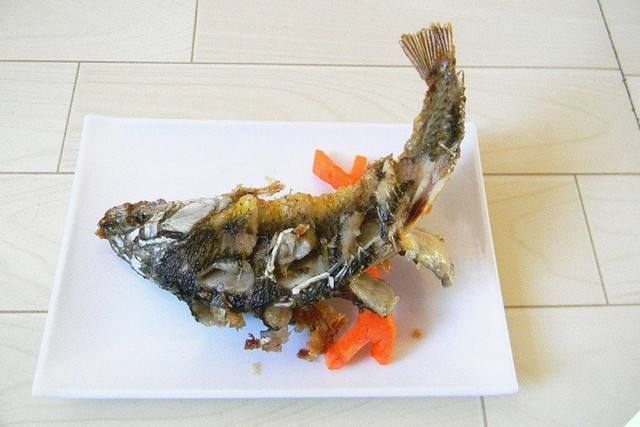 Loại cá mềm thơm, bổ dưỡng như “sâm nước” - Hình 12 Loai ca mem thom, bo duong nhu “sam nuoc”-Hinh-12