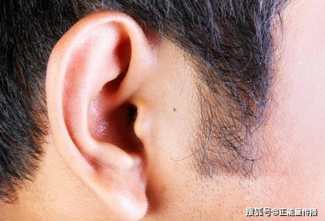 3 bộ phận của nam giới càng cọ rửa sạch thận càng khỏe mạnh - Hình 2 3 bo phan cua nam gioi cang co rua sach than cang khoe manh-Hinh-2