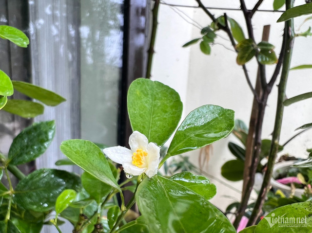 Thuê chị chồng làm giúp việc, không ngờ bị nhòm ngó khắp phòng ngủ - Hình 2 Thue chi chong lam giup viec, khong ngo bi nhom ngo khap phong ngu-Hinh-2