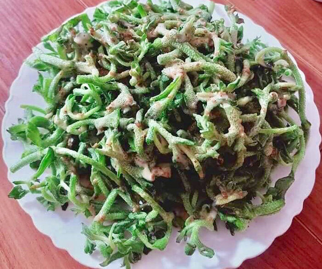 Dân Hà Nội lùng mua rau kim cương, đồ lạ mới về giá đắt - Hình 2 Dan Ha Noi lung mua rau kim cuong, do la moi ve gia dat-Hinh-2