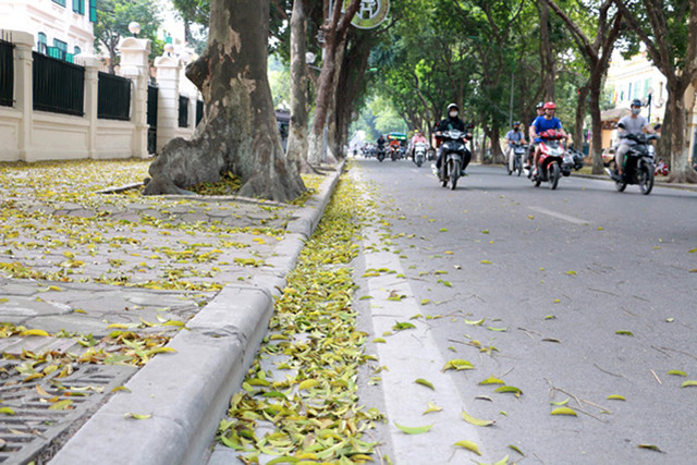 Bắc Bộ nhiệt độ tăng dần, Nam Bộ mưa dông Bac Bo nhiet do tang dan, Nam Bo mua dong