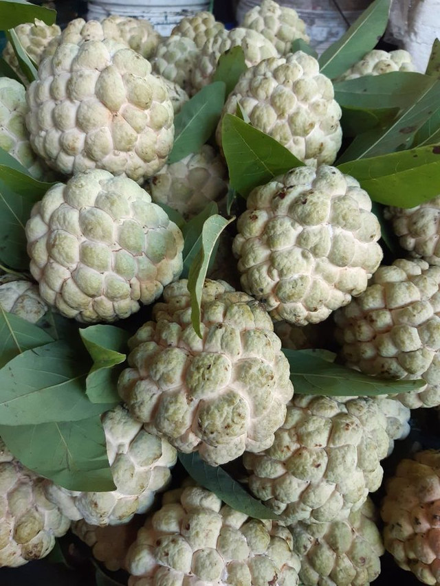 Thứ từng “thất sủng” bỗng thành hàng hiếm, 4 triệu/kg đặt trước mới có - Hình 2 Thu tung “that sung” bong thanh hang hiem, 4 trieu/kg dat truoc moi co-Hinh-2