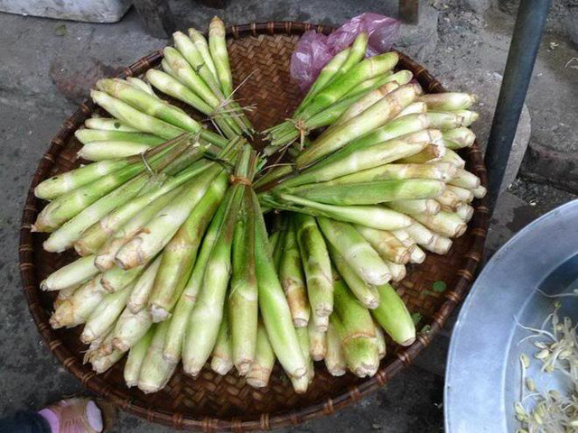 Loại cây mọc dại thành đặc sản giúp tiểu thương kiếm tiền triệu mỗi ngày - Hình 3 Loai cay moc dai thanh dac san giup tieu thuong kiem tien trieu moi ngay-Hinh-3