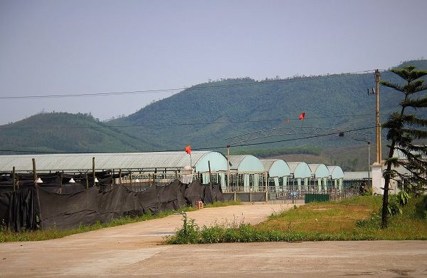 Hoàng Anh Gia Lai và những ‘dấu chân’ để lại trong vụ án ngàn tỉ tại BIDV - Hình 2 Hoang Anh Gia Lai va nhung ‘dau chan’ de lai trong vu an ngan ti tai BIDV-Hinh-2