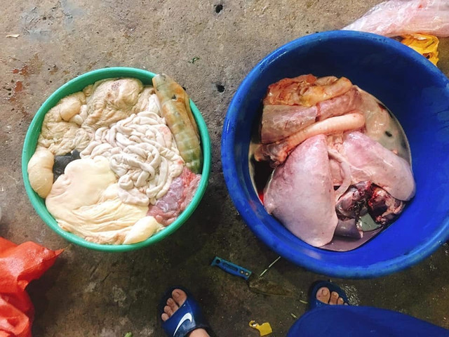Lo quà Tết sớm, nhà giàu về tận bản mua ngựa bạch nấu cao - Hình 3 Lo qua Tet som, nha giau ve tan ban mua ngua bach nau cao-Hinh-3