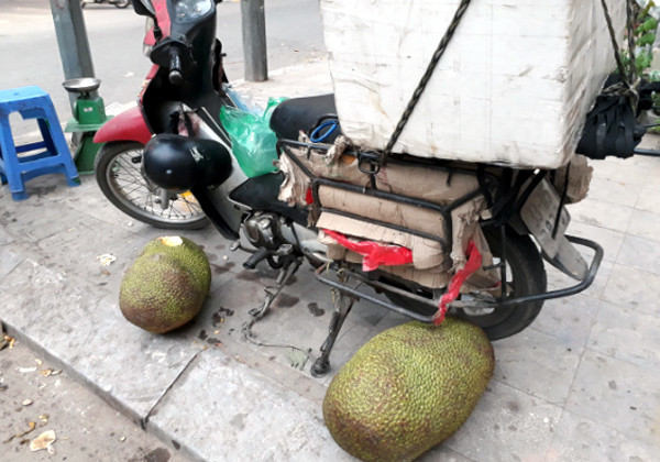Cuối tuần tìm mua mít quê, "bà chị công sở" kiếm bạc triệu - Hình 2 Cuoi tuan tim mua mit que,
