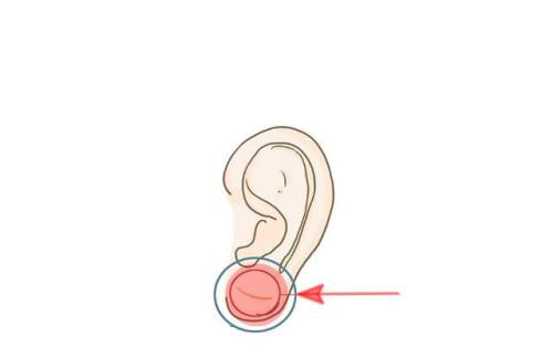 Phụ nữ mang mệnh phu nhân thường sở hữu đặc điểm này - Hình 3 Phu nu mang menh phu nhan thuong so huu dac diem nay-Hinh-3