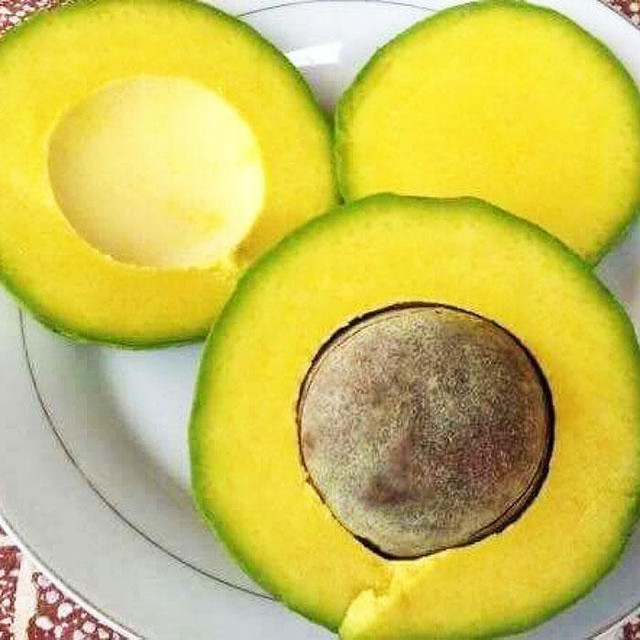5 giây biết ngay bơ ngon cực phẩm không sượng đắng, không hóa chất 5 giay biet ngay bo ngon cuc pham khong suong dang, khong hoa chat