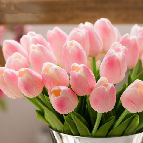 8 thói quen đơn giản để không bao giờ bị stress - Hình 3 8 thoi quen don gian de khong bao gio bi stress-Hinh-3