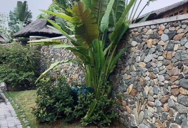 Về nhà lúc nửa đêm, vợ nghe tiếng động trong phòng giúp việc Ve nha luc nua dem, vo nghe tieng dong trong phong giup viec