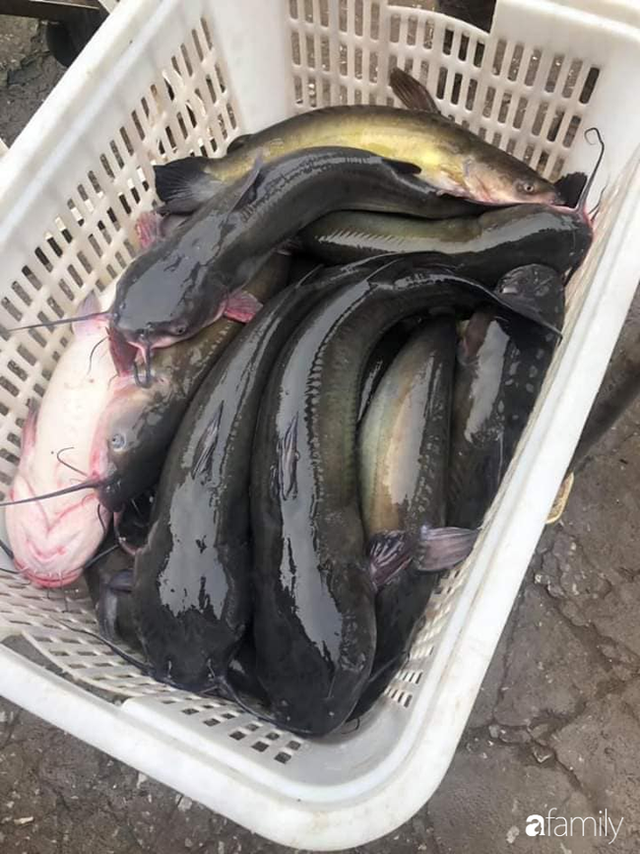 Thu nhập 15 triệu, gia đình 5 người chỉ tiêu 2,7 triệu/tháng mùa dịch - Hình 4 Thu nhap 15 trieu, gia dinh 5 nguoi chi tieu 2,7 trieu/thang mua dich-Hinh-4