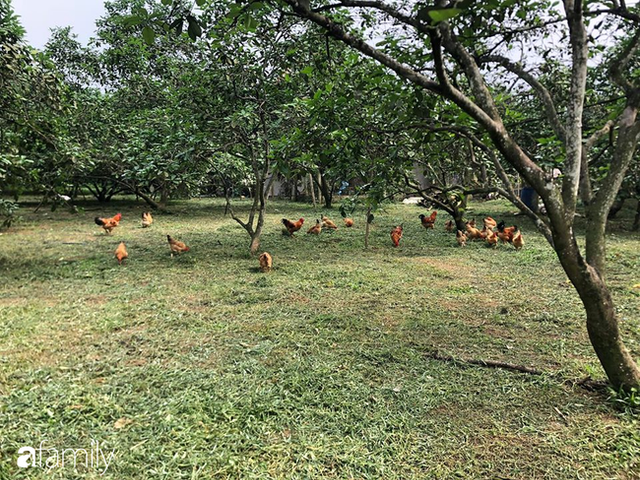 Thu nhập 15 triệu, gia đình 5 người chỉ tiêu 2,7 triệu/tháng mùa dịch Thu nhap 15 trieu, gia dinh 5 nguoi chi tieu 2,7 trieu/thang mua dich