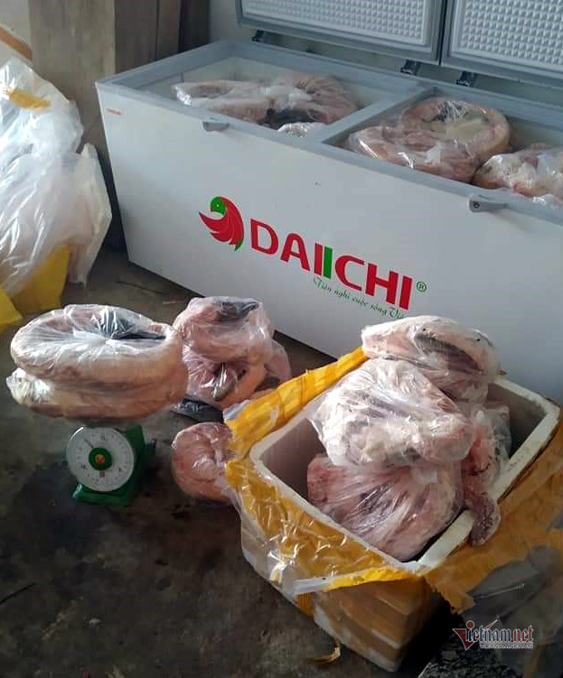 Cậu học sinh lớp 12 buôn thịt cá sấu lãi 50 triệu/tháng Cau hoc sinh lop 12 buon thit ca sau lai 50 trieu/thang