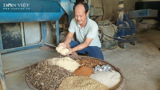 Lợn ăn sâm, trâu uống rượu... hàng lạ bán cho nhà giàu Lon an sam, trau uong ruou... hang la ban cho nha giau