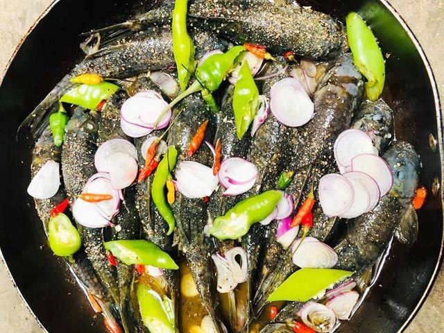 Quảng Ngãi: 'Đệ nhất cá suối' có tiền cũng không dễ mà mua - Hình 6 Quang Ngai: 'De nhat ca suoi' co tien cung khong de ma mua-Hinh-6
