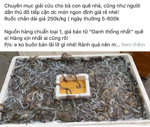 Đặc sản ruốc 'chân dài' được rao bán giá rẻ chưa từng có - Hình 3 Dac san ruoc 'chan dai' duoc rao ban gia re chua tung co-Hinh-3
