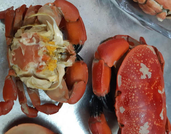 Cua Việt Nam nổi tiếng với đôi càng như cua hoàng đế - Hình 3 Cua Viet Nam noi tieng voi doi cang nhu cua hoang de-Hinh-3
