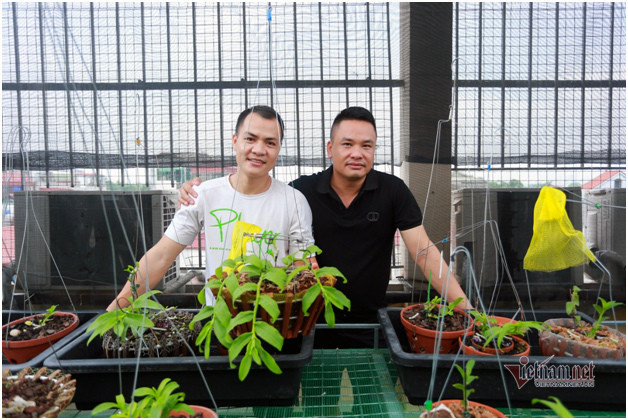 Bỏ 400 triệu chơi lan, đôi bạn thân Hà Nội có gia tài chục tỷ Bo 400 trieu choi lan, doi ban than Ha Noi co gia tai chuc ty