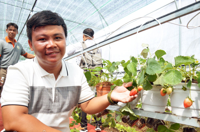 Đại gia vác 2 bao tải tiền tươi mua cây cảnh - Hình 5 Dai gia vac 2 bao tai tien tuoi mua cay canh-Hinh-5