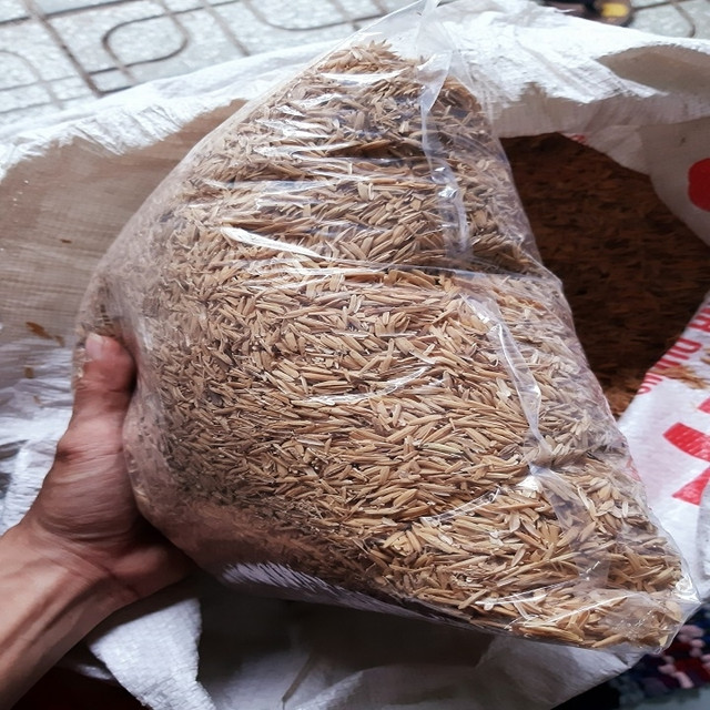 Đồng nát sắt vụn điện tử, món nào món ý đắt khách không ngờ - Hình 4 Dong nat sat vun dien tu, mon nao mon y dat khach khong ngo-Hinh-4